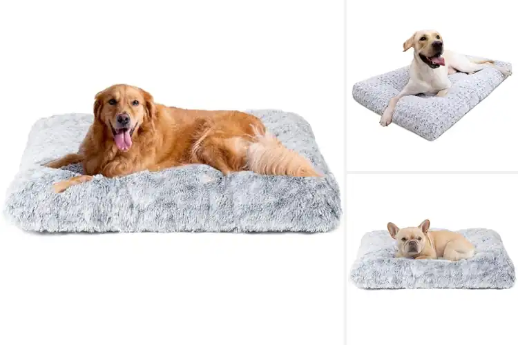 Detailed view of Best Plush Dog Bed Materials
