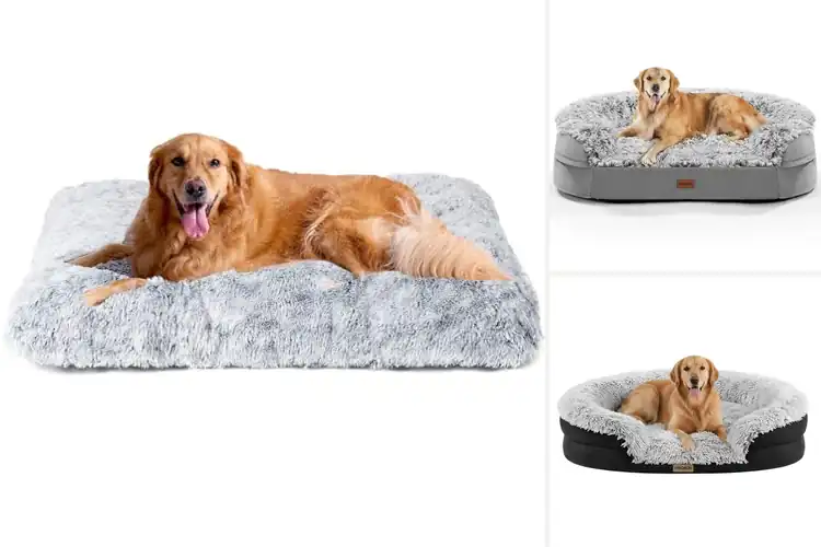 Detailed view of Best Plush Dog Beds For Large Dogs: Top 10 Cozy Picks