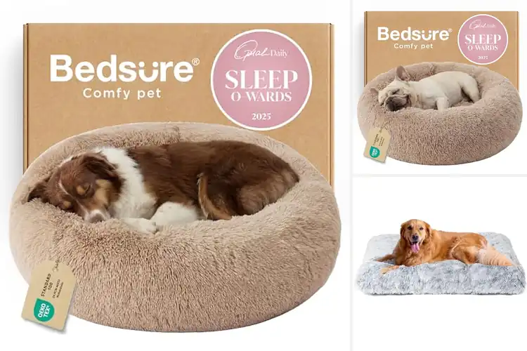 Detailed view of Best Plush Dog Beds