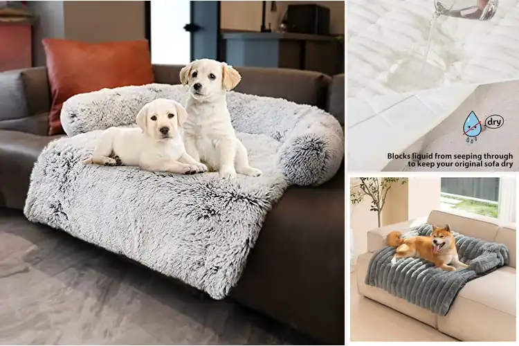 Detailed view of Best Plush Dog Mats For Furniture Protection