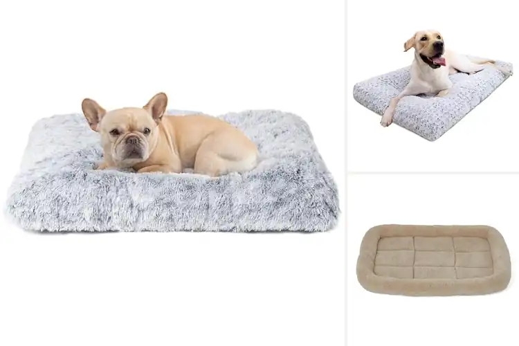 Detailed view of Best Plush Dog Mats