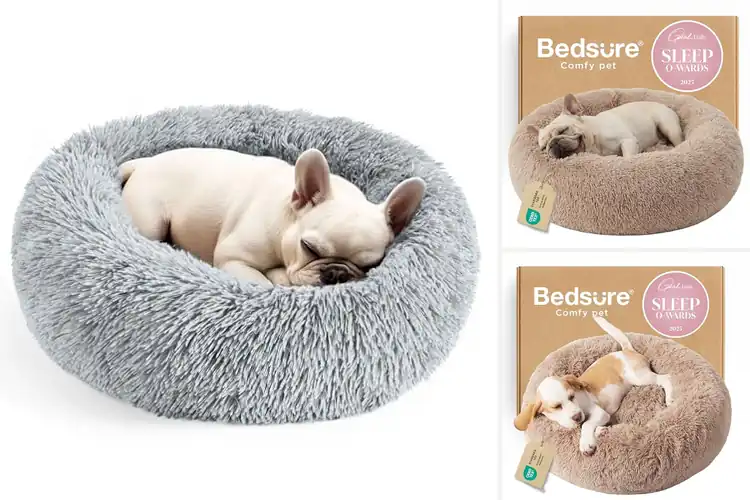 Detailed view of Best Plush Pet Beds: Top 10 Cozy Picks for Ultimate Comfort