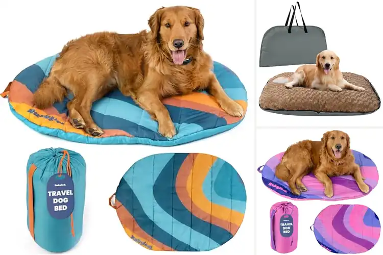 Detailed view of Best Portable Dog Beds For Travel: Cozy Comfort On-the-Go
