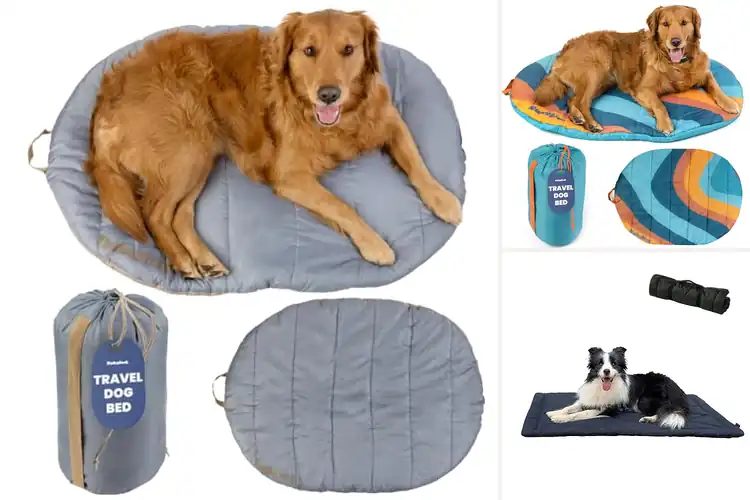 Detailed view of Best Portable Dog Beds: Top 10 Cozy Picks for On-the-Go Pets