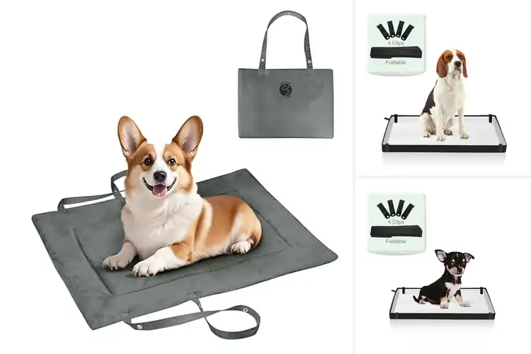 Detailed view of Best Portable Dog Pads: Mess-Free Living Made Easy
