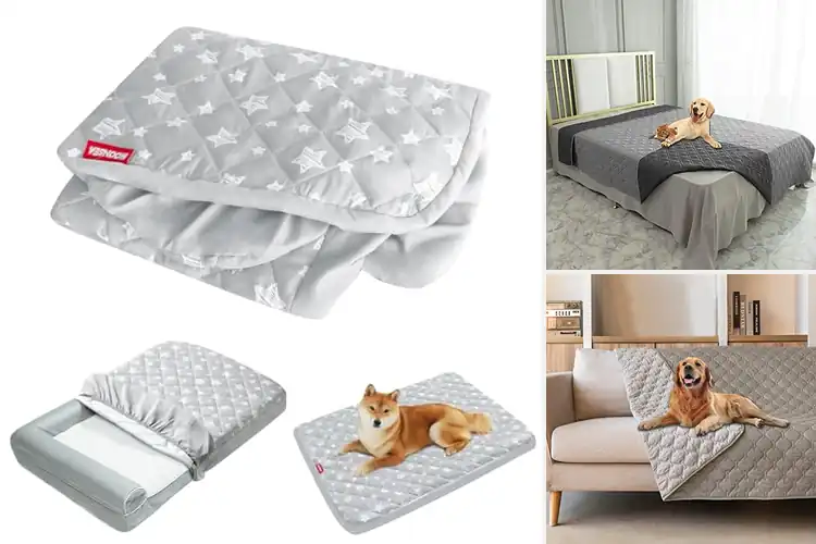 Detailed view of Best Protective Dog Bed