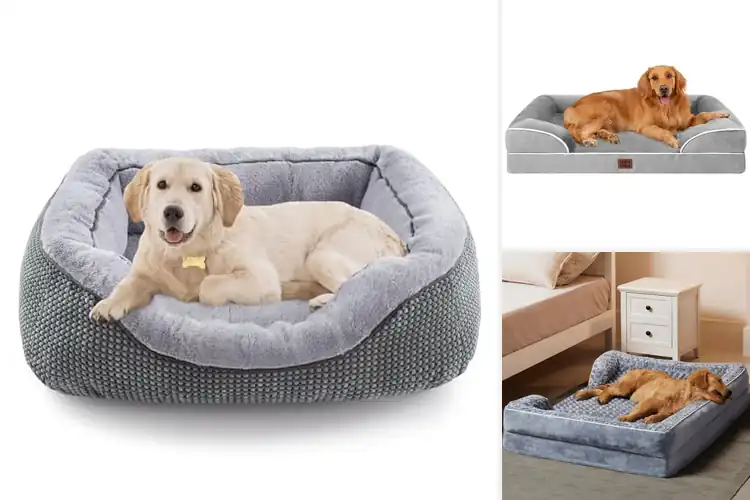 Detailed view of Best Raised Edge Dog Bed: Top 10 Picks for Ultimate Comfort