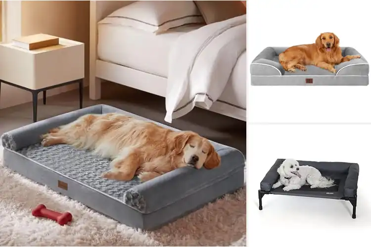 Detailed view of Best Raised Edge Dog Beds: Top 10 Cozy Picks for Your Pet