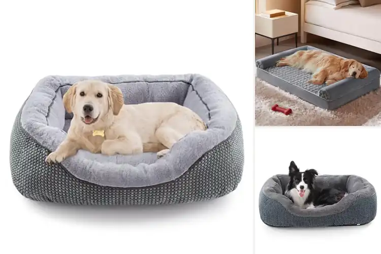 Detailed view of Best Raised Edges Dog Bed: Top 10 Picks for Maximum Comfort