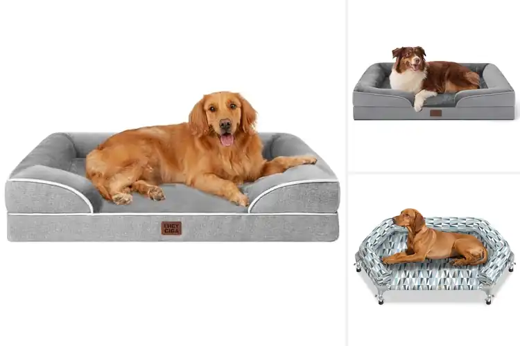 Detailed view of Best Raised Edges Orthopedic Dog Bed