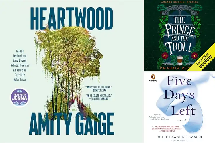 Detailed view of Best Rebecca Lowman Narrations: Top 4 Picks for All Ages