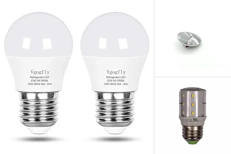 Detailed view of Best Refrigerator Interior Lights