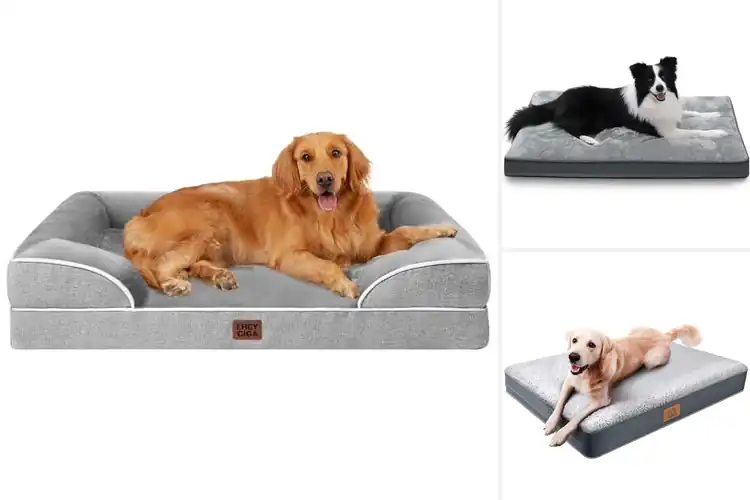 Detailed view of Best Removable Cover Dog Bed