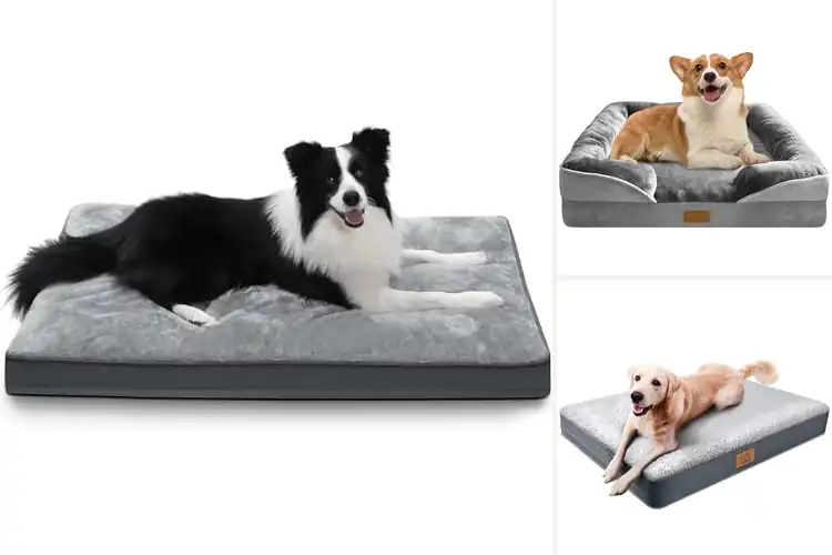 Detailed view of Best Removable Cover Dog Beds