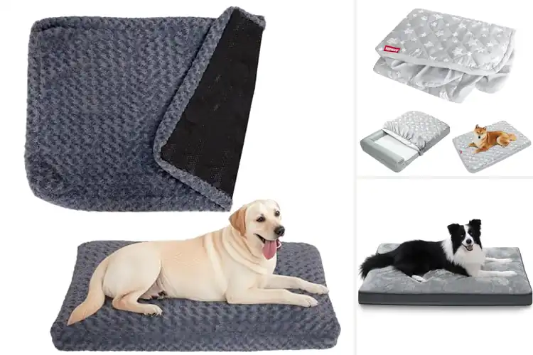 Detailed view of Best Removable Washable Covers