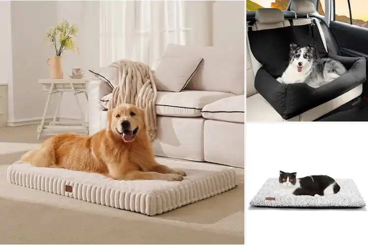 Detailed view of Best Safe Non Slip Pet Beds: Top 10 Cozy & Secure Options
