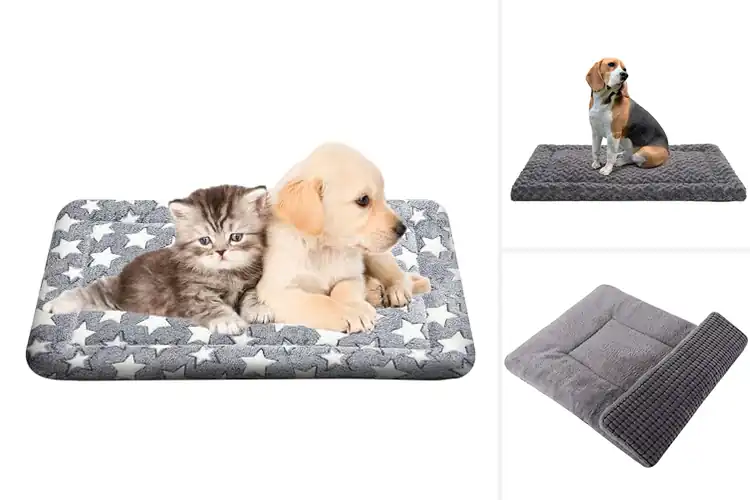 Detailed view of Best Sleep Enhancing Pet Cushions