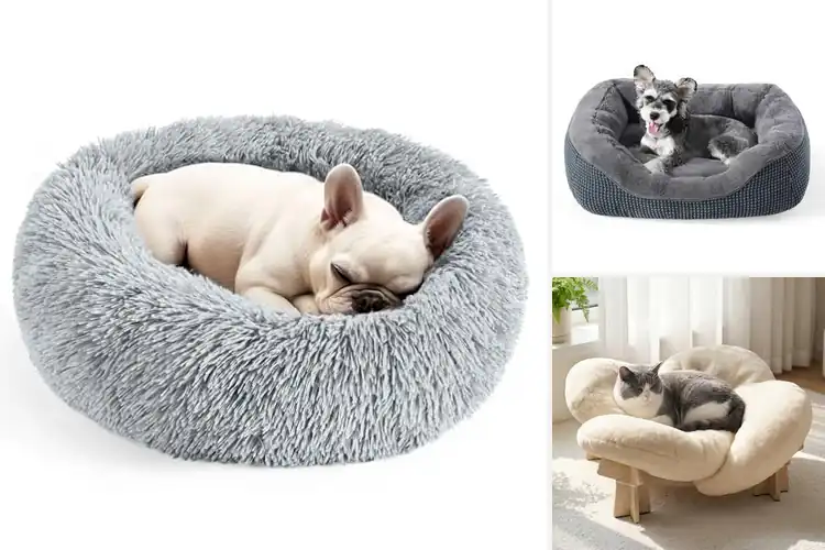 Detailed view of Best Small Dog Bed: 10 Cozy Picks for Your Furry Friend