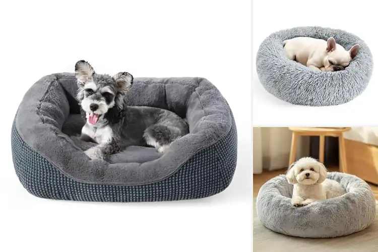 Detailed view of Best Small Dog Beds