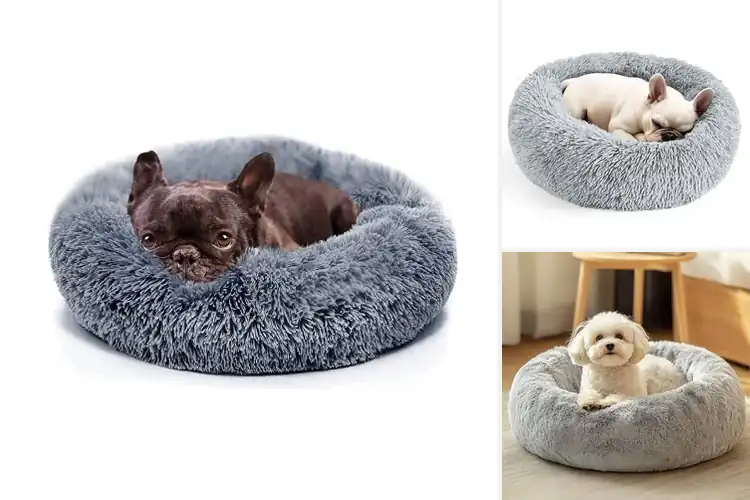 Detailed view of Best Small Dog Calming Beds: Top 10 Cozy & Safe Options