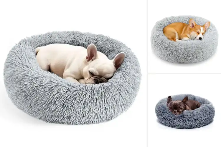 Detailed view of Best Small Pet Bed