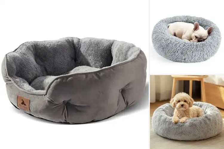 Detailed view of Best Small Pet Beds