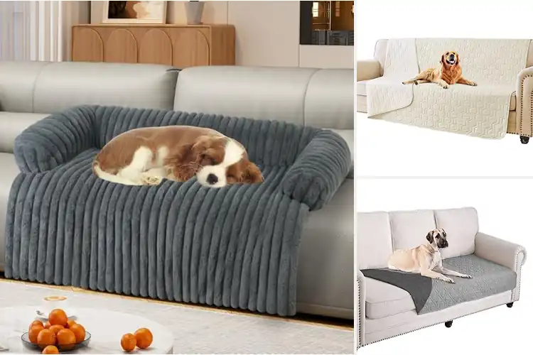 Detailed view of Best Sofa Dog Bed Protector