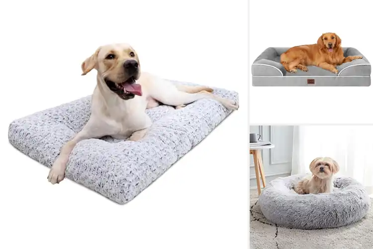 Detailed view of Best Soft Dog Beds