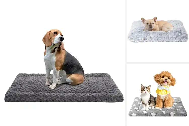 Detailed view of Best Soft Dog Mats: 10 Cozy & Durable Picks for Your Pup