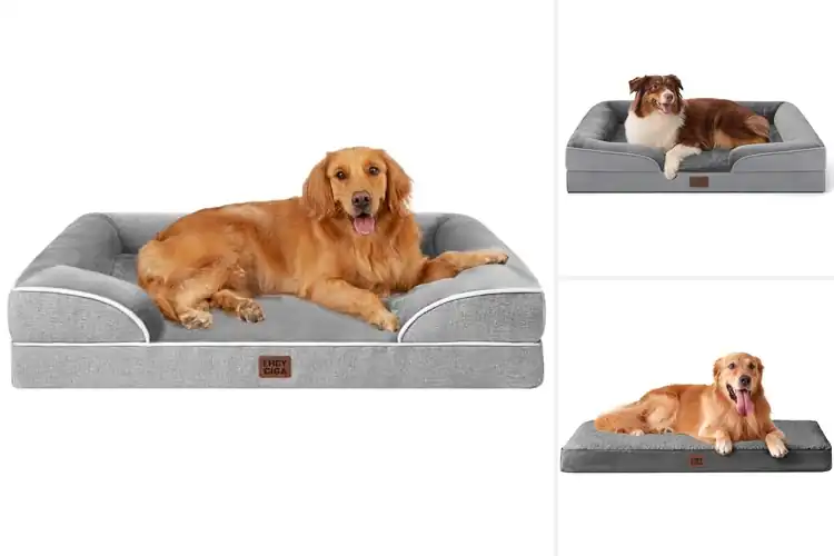 Detailed view of Best Supportive Dog Beds