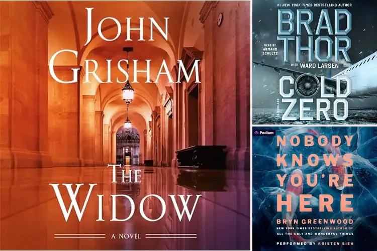 Detailed view of Best Thriller Audiobooks