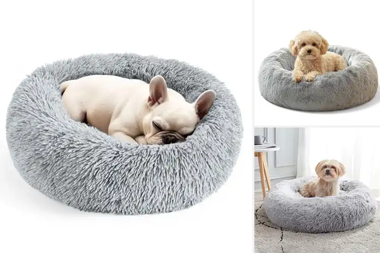 Detailed view of Best Travel Calming Cat And Dog Beds