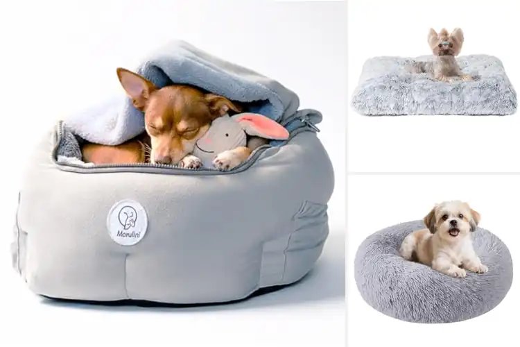 Detailed view of Best Travel Calming Pet Bed