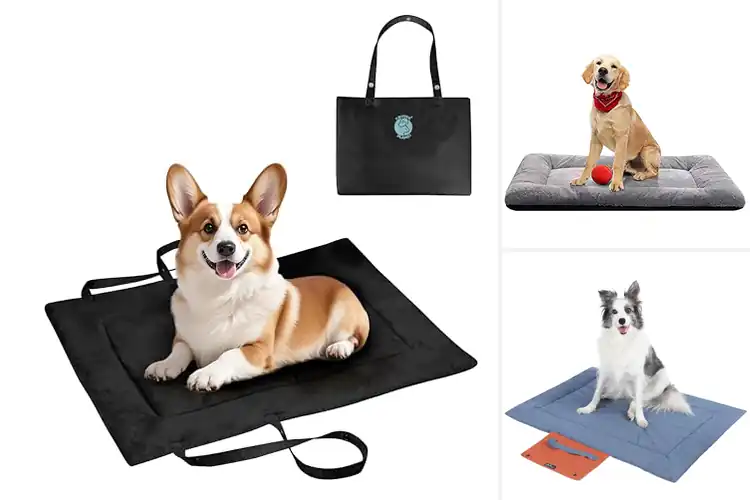 Detailed view of Best Travel Dog Bed Pad