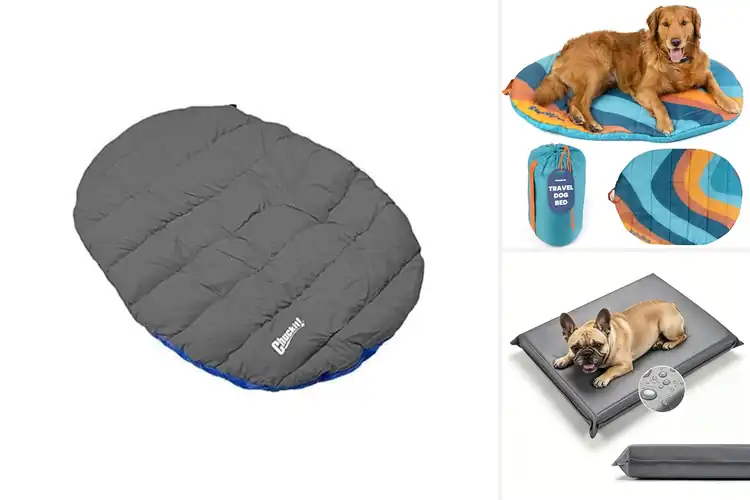 Detailed view of Best Travel Dog Bed: Top 10 Picks for Cozy Adventures