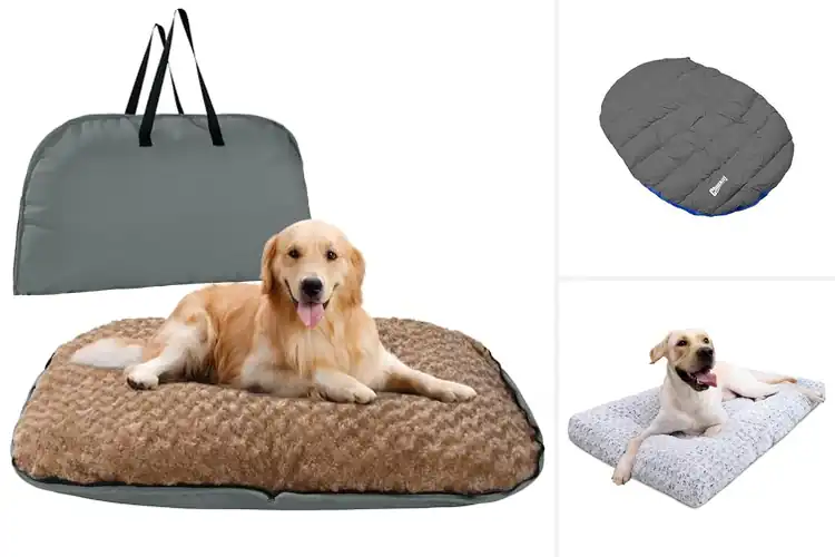 Detailed view of Best Travel Dog Beds: Top 10 Picks for Cozy Adventures