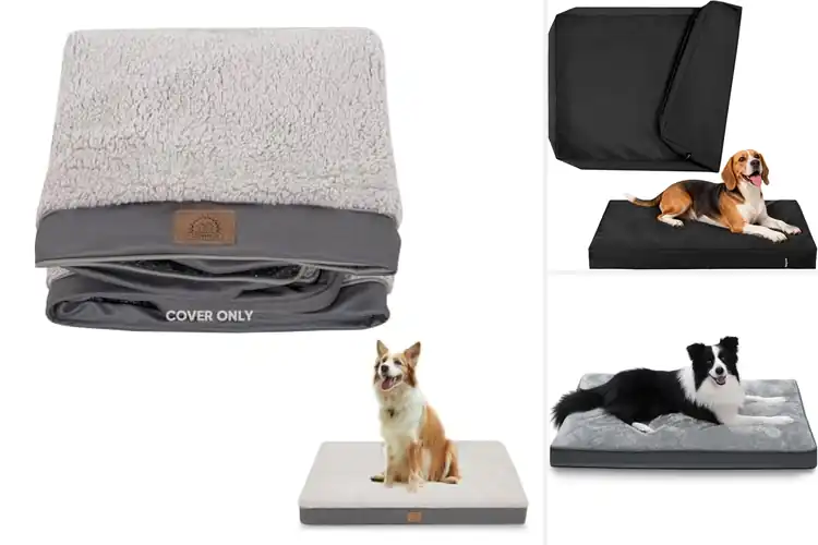 Detailed view of Best Washable Dog Bed With Zippered Cover