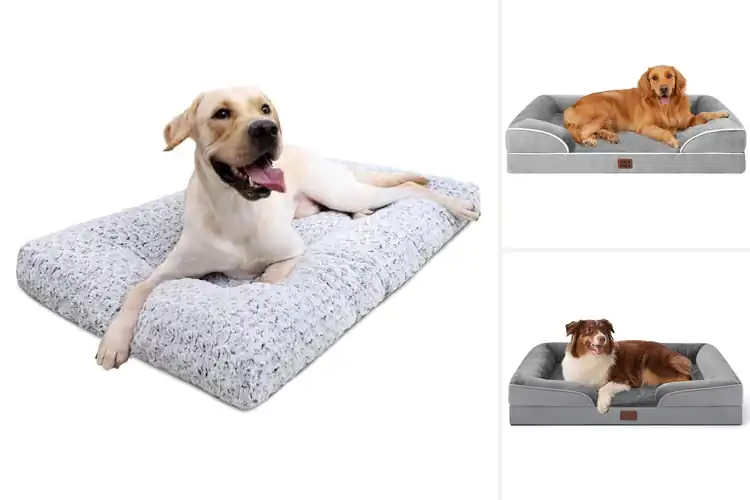 Detailed view of Best Washable Dog Beds: 10 Cozy & Clean Picks for Your Pup