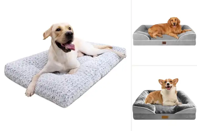 Detailed view of Best Washable Pet Beds: Cozy Comfort & Easy Cleaning