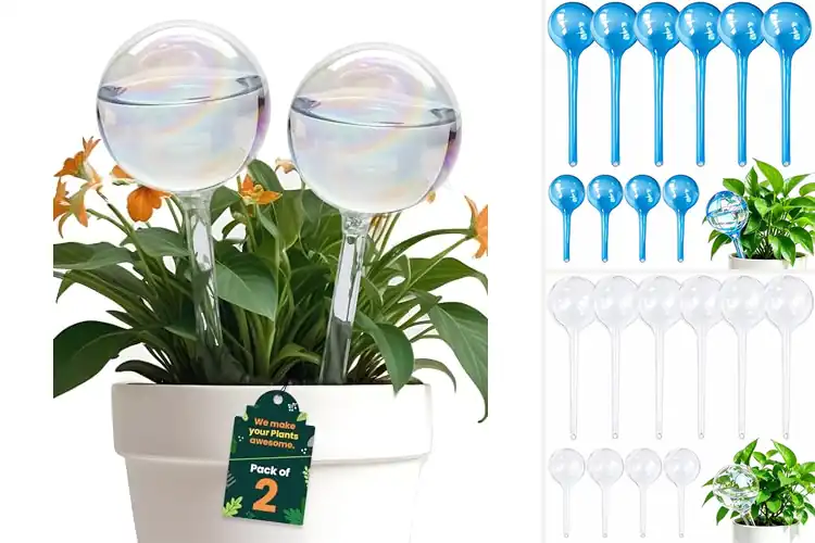 Detailed view of Best Watering Globes for Indoor Plants