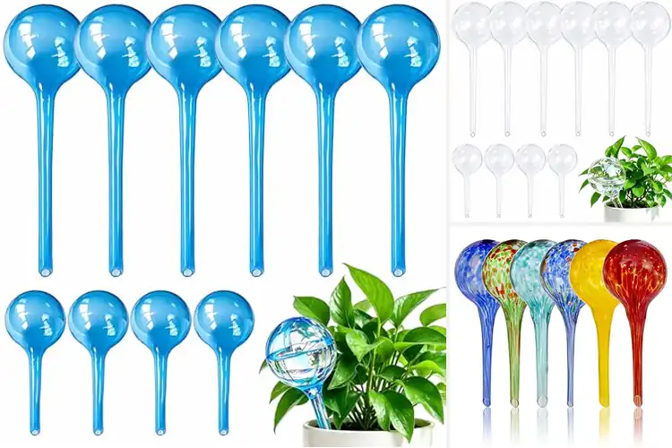 Detailed view of Best Watering Globes for Outdoor Plants